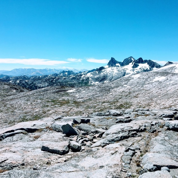 Meet your Posher, Emily - Picture 1 of 1